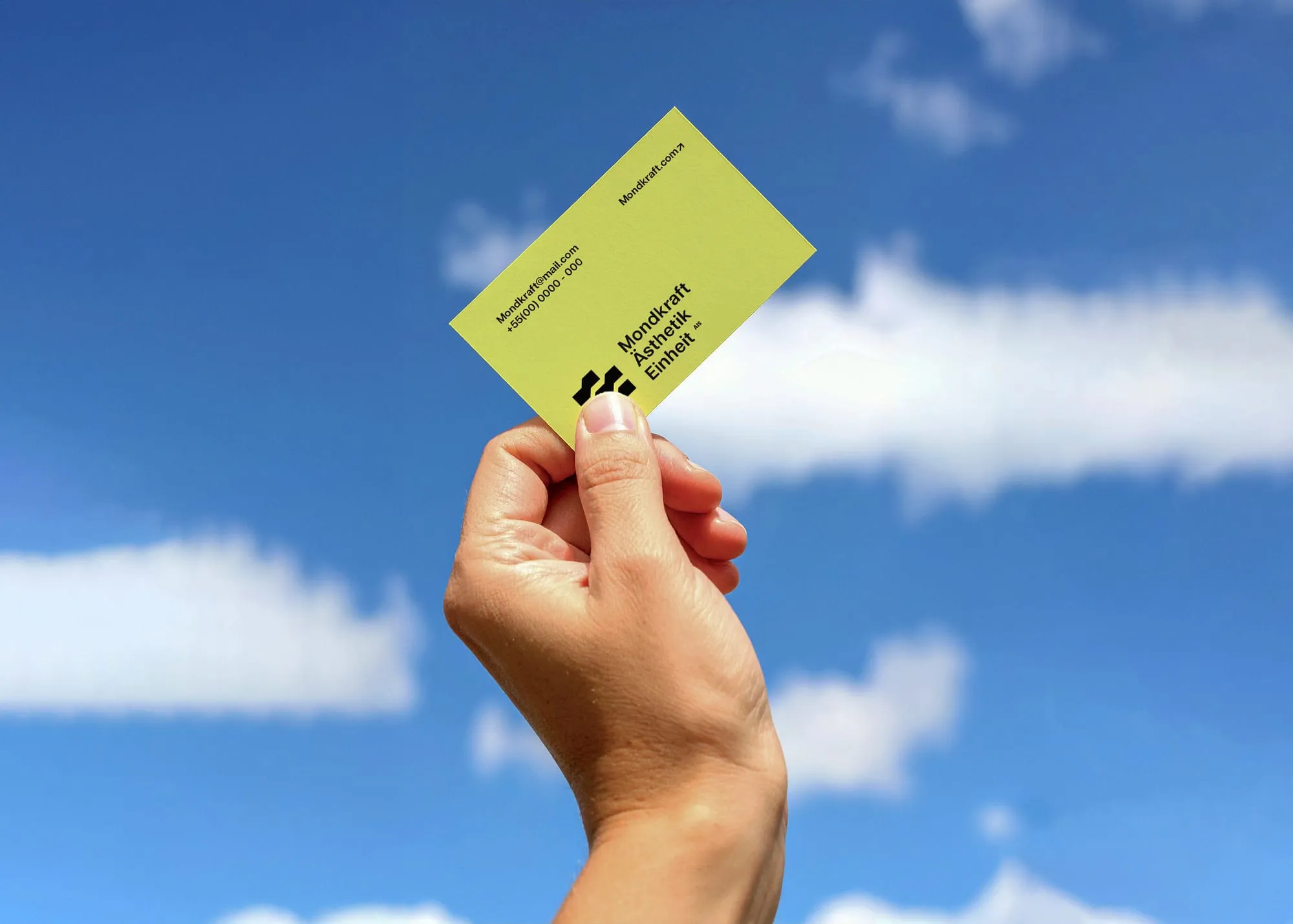 portfolio-details-thumb